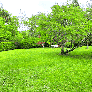 Entretien espace verts Champcevinel 