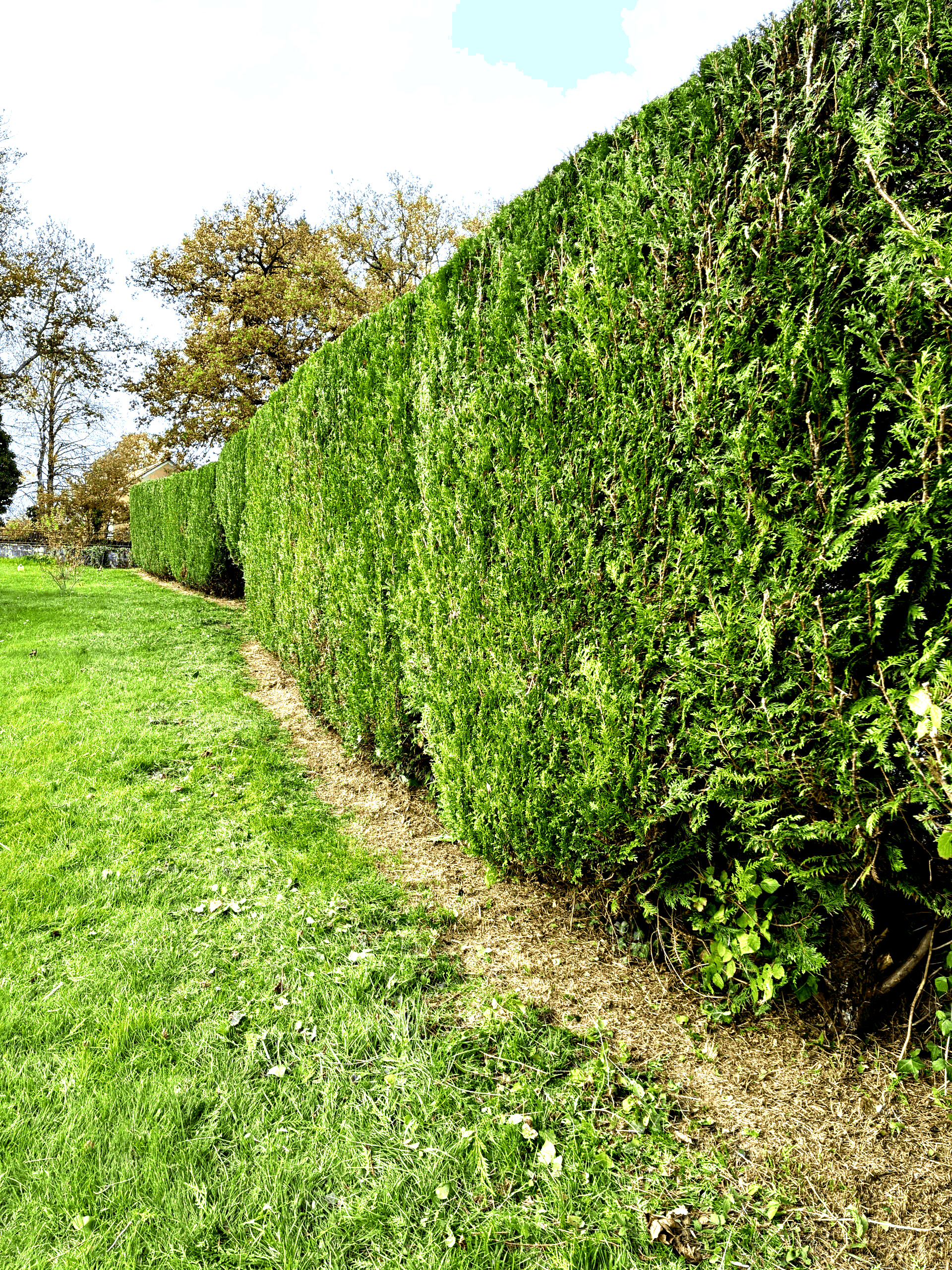 Entretien espace verts Champcevinel 