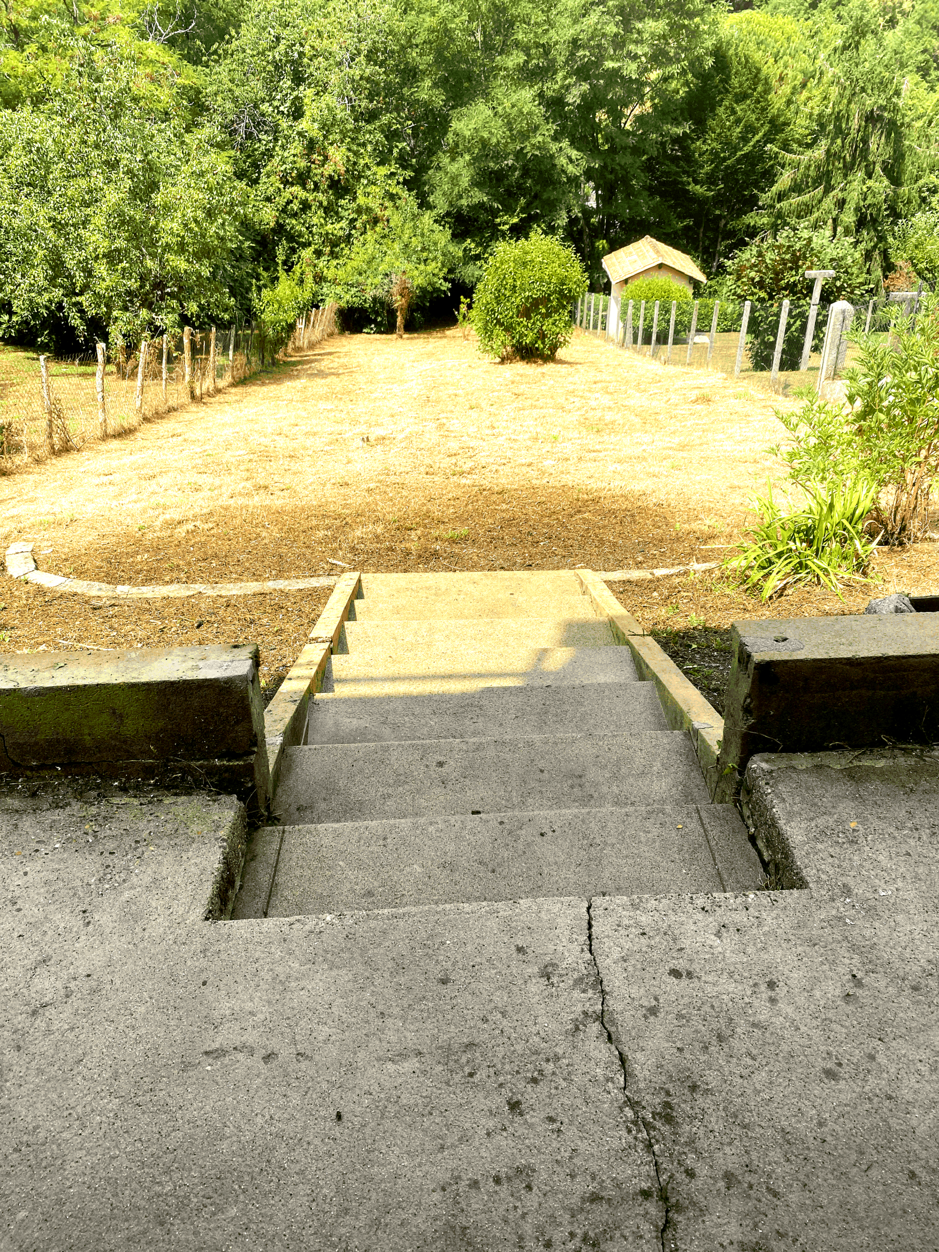 Entretien espace verts Champcevinel 