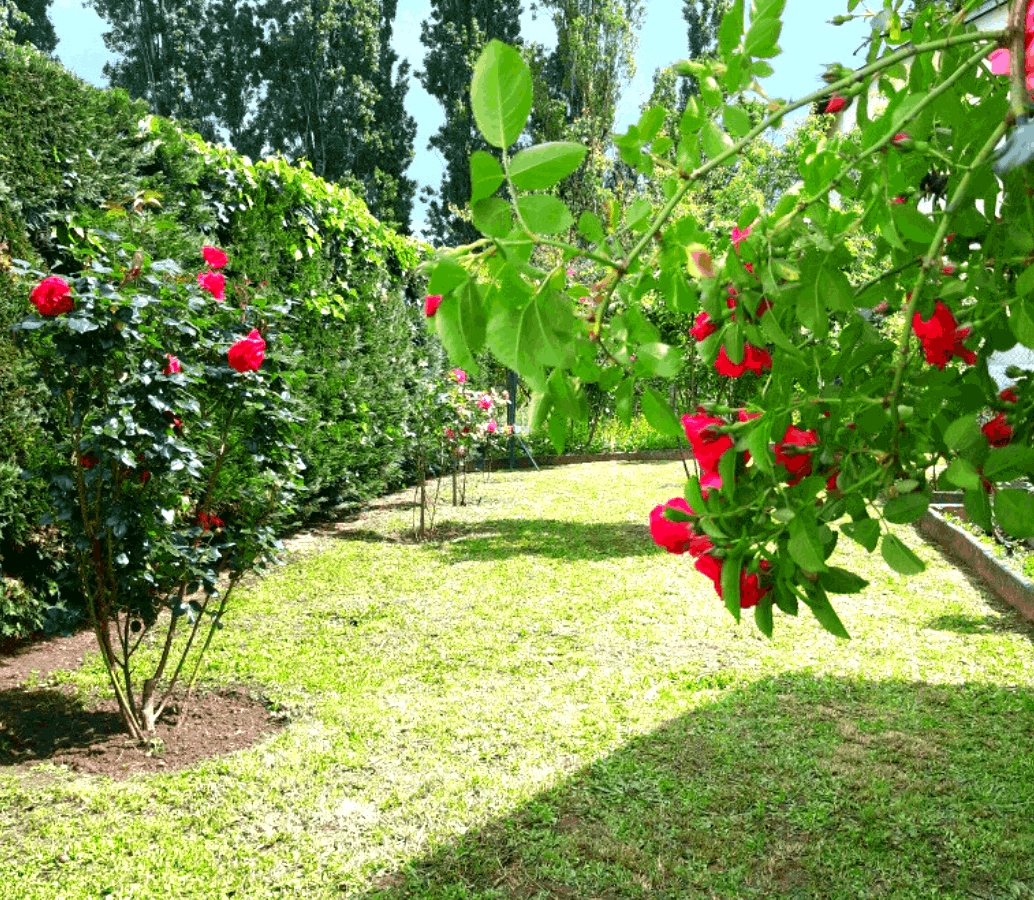 Entretien parcs & jardins Champcevinel 